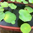 숙희농장 이미지