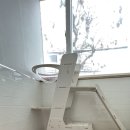 고양이 미용& 호텔 우연히, 캣 이미지