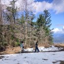 2026년 3월 28일 Rattlesnake Mountain 이미지