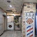 멍멍이발소 이미지