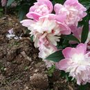 서동도서관 내 이미지