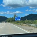 비룡농원 이미지