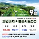 파인비치A 이미지