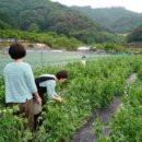 (주)진로식자재마트 이미지
