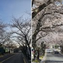 예래동사무소 이미지