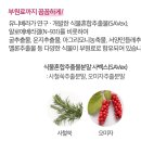유니베라 남양알로에