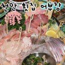 천안 불당동 횟집 술집 어부장 자연산 숙성회 후기