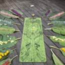 부부요가 | 이하늬도 선택한 발리 우붓 요가반(The Yoya Barn) 부부 요가 수련 후기