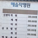 해솔유치원 | 용인작명소 / 둘째 아기 작명 해솔작명원에서 했어요! (재방문)