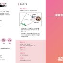 [2025 정부지원사업] 서울뷰티허브 선정 후기 – DDP 전시부터 바이어 상담까지