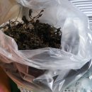 종아농장 이미지