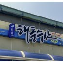 시원한 고래전골을 맛보고 싶다면 포항맛집 밍크고래전문점구룡포해풍수산