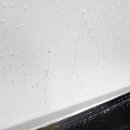 오토디테일 이미지