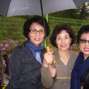산수2리 이미지