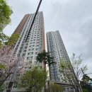 시안성 | [김해 방충망 교체] 봉황동 이편한세상 고양이 방충망 시공 후기 (블랙스텐 0.18)