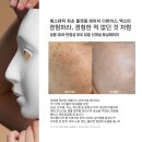 엑스터