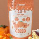 멍멍이대학 - 2771 | 멍멍이대학