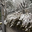 진천역화성파크리젠시도서관 | [내돈내산ㅣ대구맛집] 퇴근 후 고기 한판, 대구 달서구 맛집 최고집 안동갈비 솔직 후기