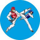 용인대 큰나라 태권도 이미지