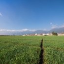 공공용 34 이미지