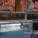 해촌산오징어물회 네이버블로그