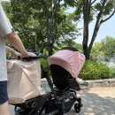 대한건설협회노동조합 | [디럭스 유모차 G5] 쌍둥이, 연년생, 형제자매용 유모차로 추천해요~
