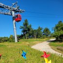 에이스카 (식사점) | 목포해상케이블카 후기, 아이와 목포여행 꼭 가봐야 할 명소