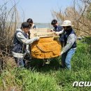 삽교천 낚시터 이미지