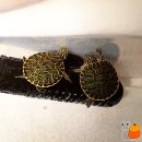 규리 농장 이미지