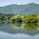 밀양 투어코리아