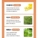 에너라이프