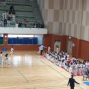 경희대 건강드림 태권도 이미지