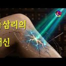 족삼리의 배신 | 정통사암침법이 밝혀낸 충격적 진실 이미지