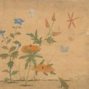 나비,날아오르다 | 여류화가 신사임당 (조선시대)