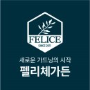 야간)꽃과 원예 이미지