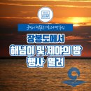 옹진군 해넘이 및 제야의 밤(예정) | 장봉도에서 해넘이 및 제야의 밤 행사 열려