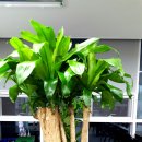 오픈식당 이미지