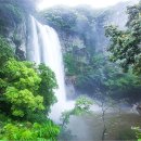 강정동-57 이미지