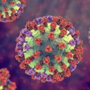 GYM Y STUDIO 이미지