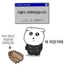 천산해 | 가을이 삭제되었습니다(11월 일상-2)