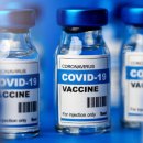 코로나 백신 데이터 의혹 봤더니 이미지