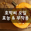 호박씨 이미지