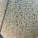 이원농장 이미지