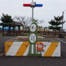 안덕농협주유소 이미지