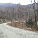 치유의숲 화장실 이미지