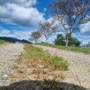 수락폭포 주차장 | [광주 전남 아이와 가볼만한곳] 깨끗한계곡폭포 주말나들이 지리산 수락폭포 후기