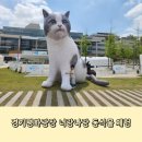 아이랑 가기좋은 의정부 경기도청 북부청사 경기평화광장 동식물체험 너랑나랑