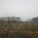 설봉농장 이미지