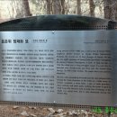 흥은위 정재화묘 이미지