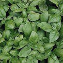 옥희농장 이미지